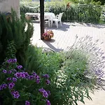 Bed & Breakfast Casa Delle Noci Rosora