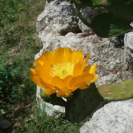 Casa Delle Noci Bed & Breakfast