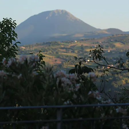 Casa Delle Noci Rosora