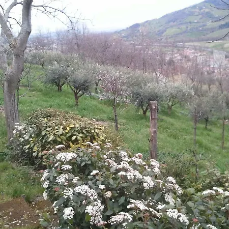 Couette-café Casa Delle Noci 3*